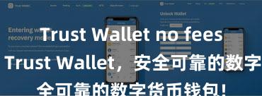 Trust Wallet no fees 立即下载 Trust Wallet，安全可靠的数字货币钱包!