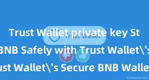 Trust Wallet private key Store Your BNB Safely with Trust Wallet's Secure BNB Wallet